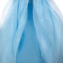 Disney Cinderella Adaptive Costume For Kids 16 Disney Cinderella Adaptive Costume For Kids -Disney 2841041618647 5